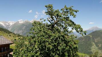 Dobbeltrom, balkong, fjellutsikt | Sengetøy av topp kvalitet, safe på rommet og individuelt dekorert