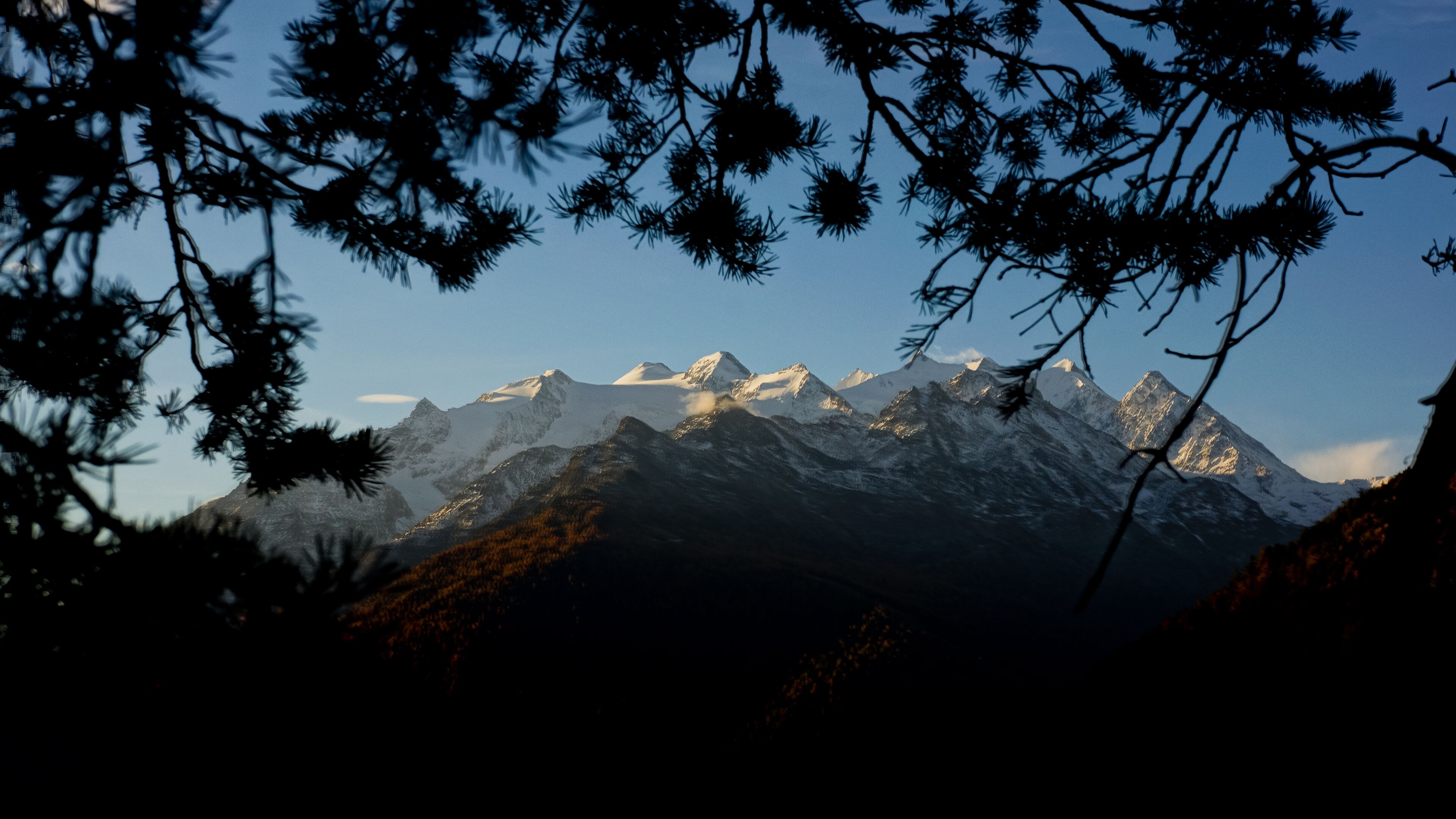 A mountain range with snow-capped peaks, viewed through tree branches.