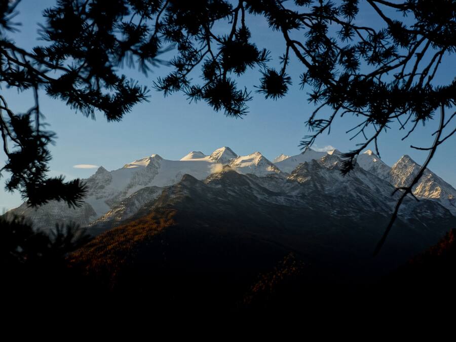 A mountain range with snow-capped peaks, viewed through tree branches.