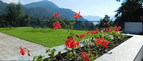 花園