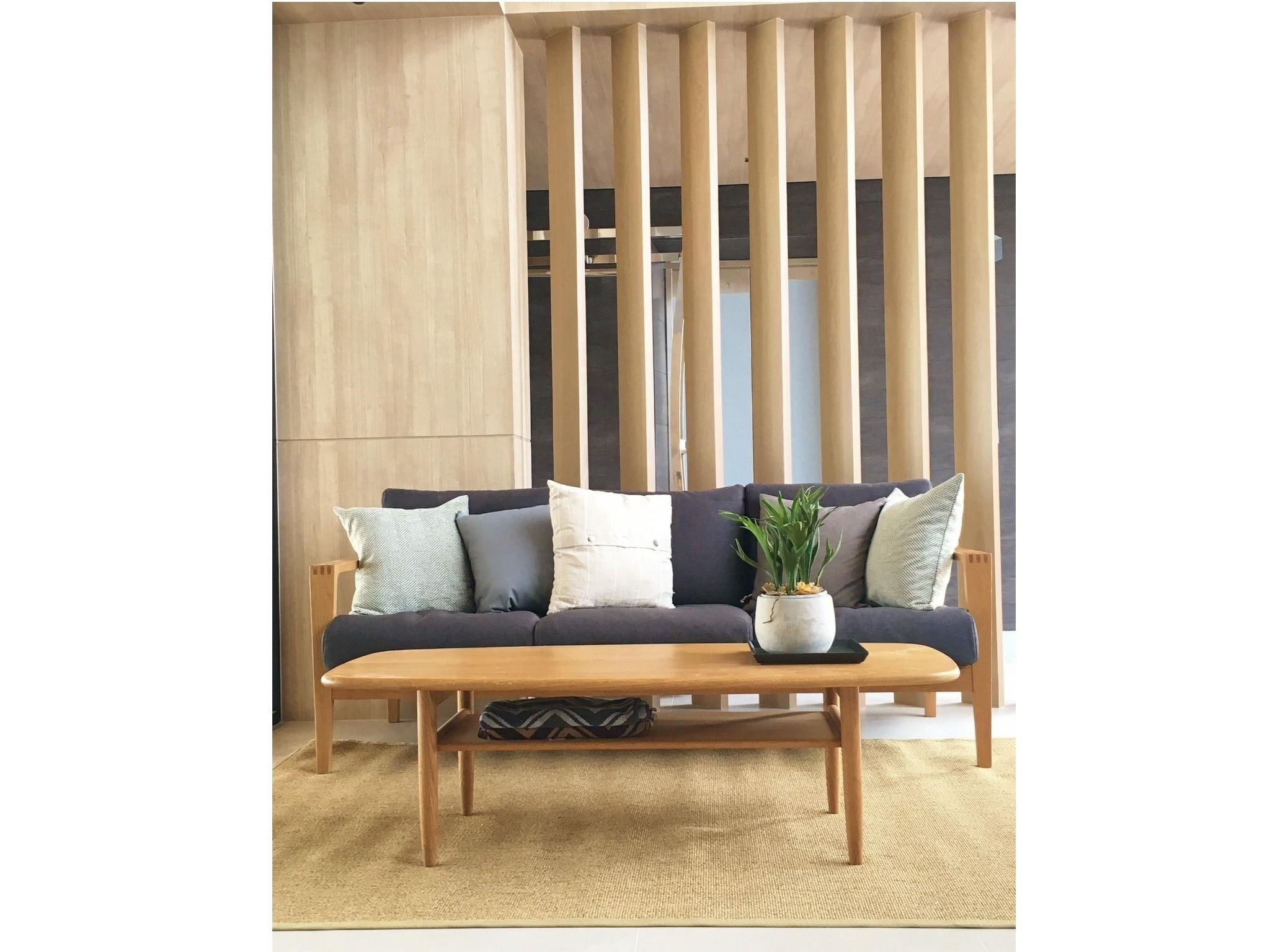 A modern living room with a dark-colored sofa, a wooden coffee table, and a potted plant.