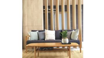 A modern living room with a dark-colored sofa, a wooden coffee table, and a potted plant.