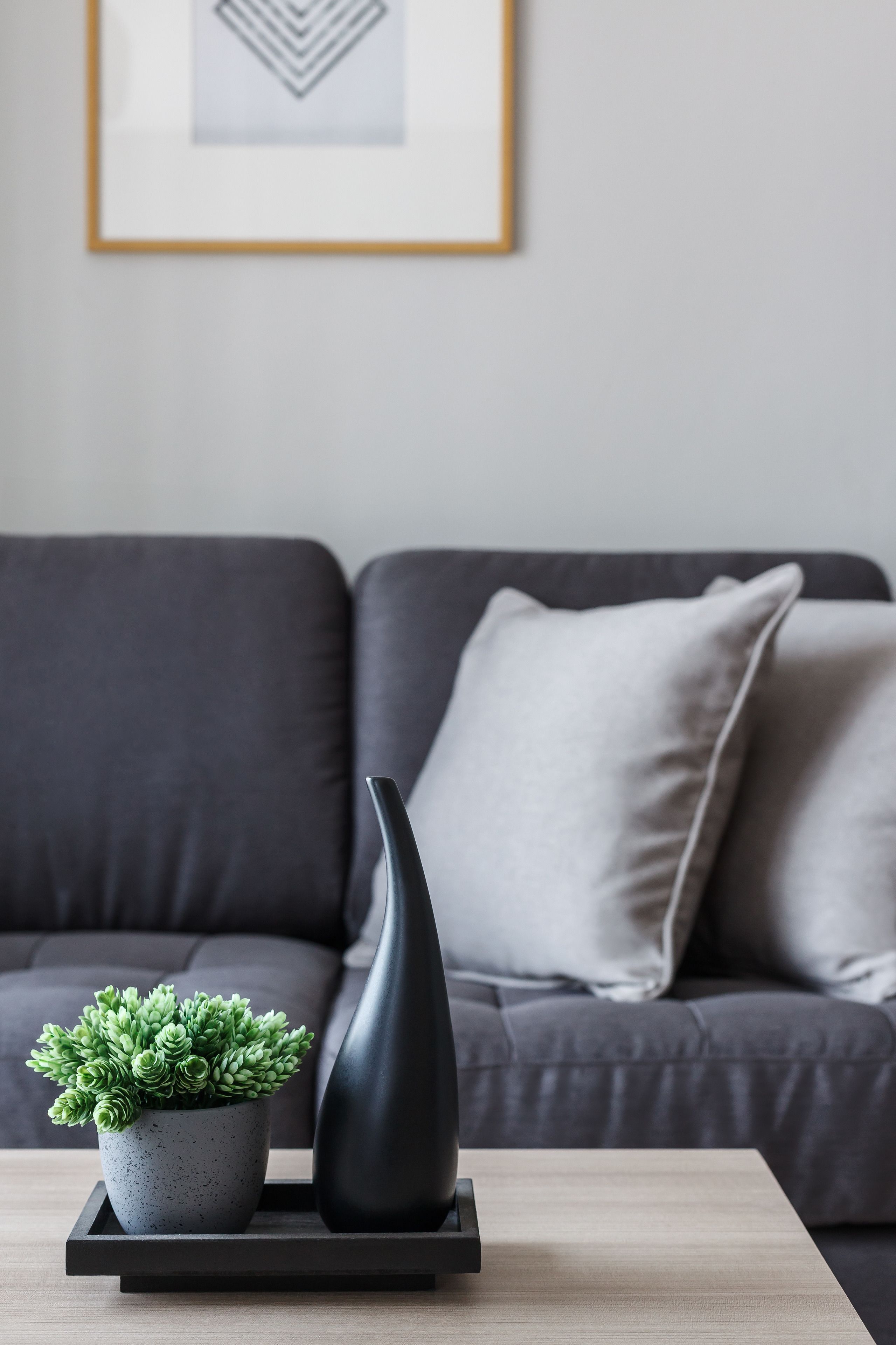 A modern living room with a grey sofa, a small potted plant, and a black vase on a wooden coffee table.