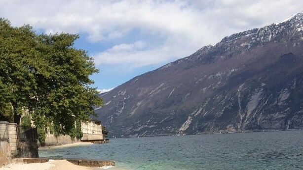 A beach with clear water, a tree, and a mountain in the background. - Hotel Locanda Ruscello Garnì (Limone sul Garda)