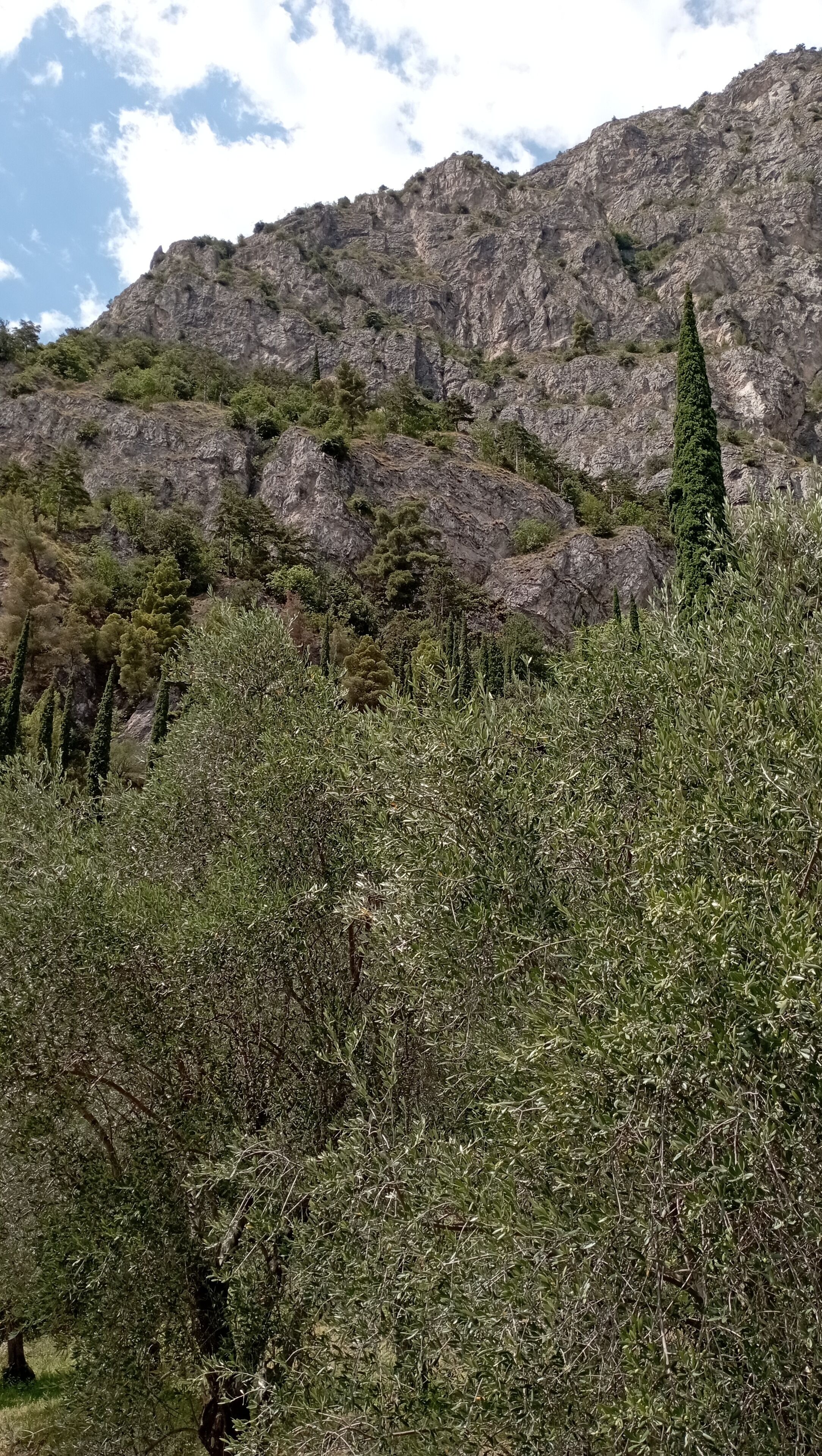 twin room, mountain view | minibar, in-room safe, desk, blackout curtains