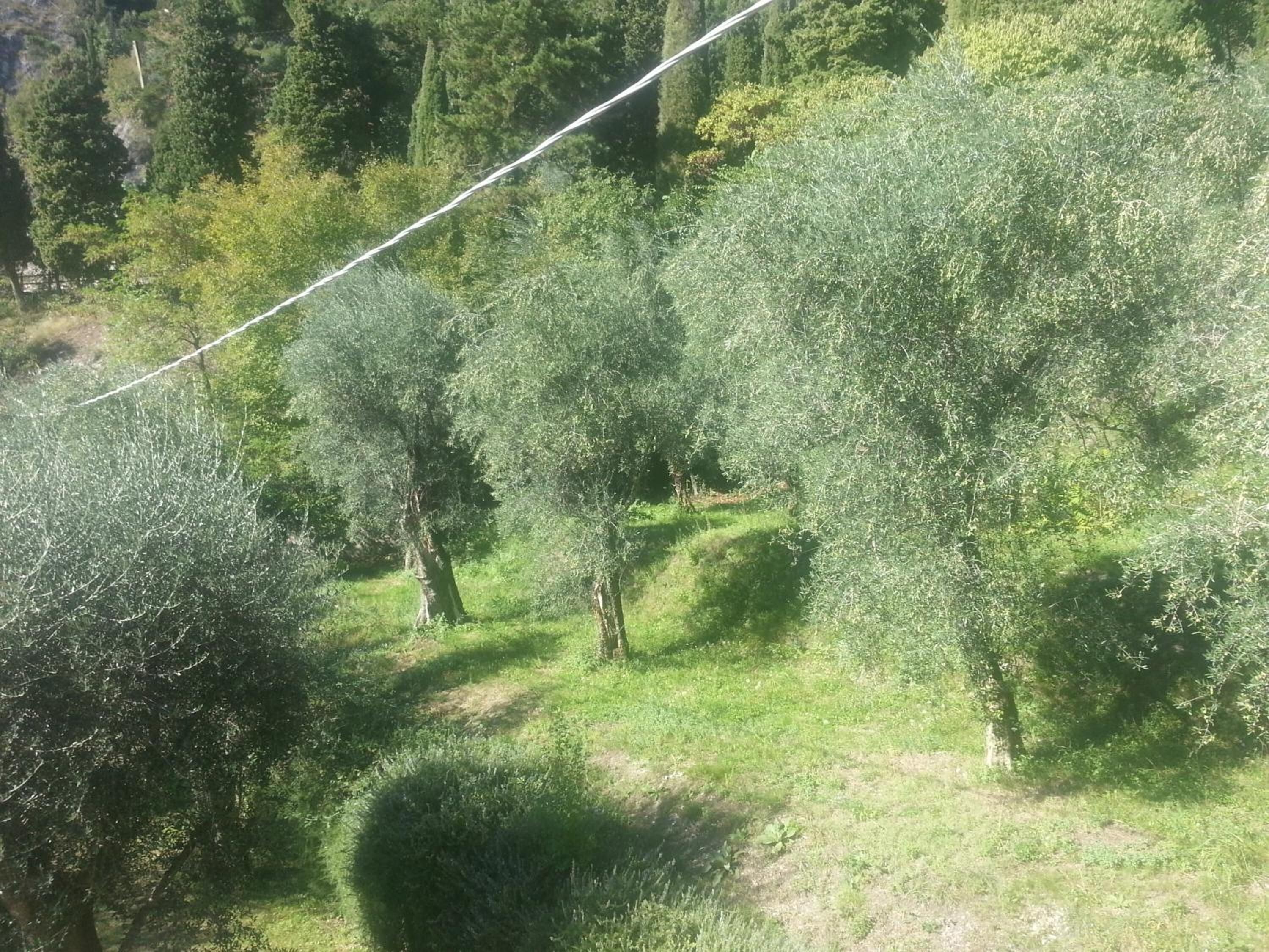 twin room, mountain view | minibar, in-room safe, desk, blackout curtains