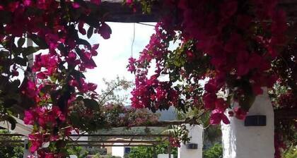 Hotel Boutique Horta d'en Rahola
