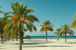 Vista desde la propiedad