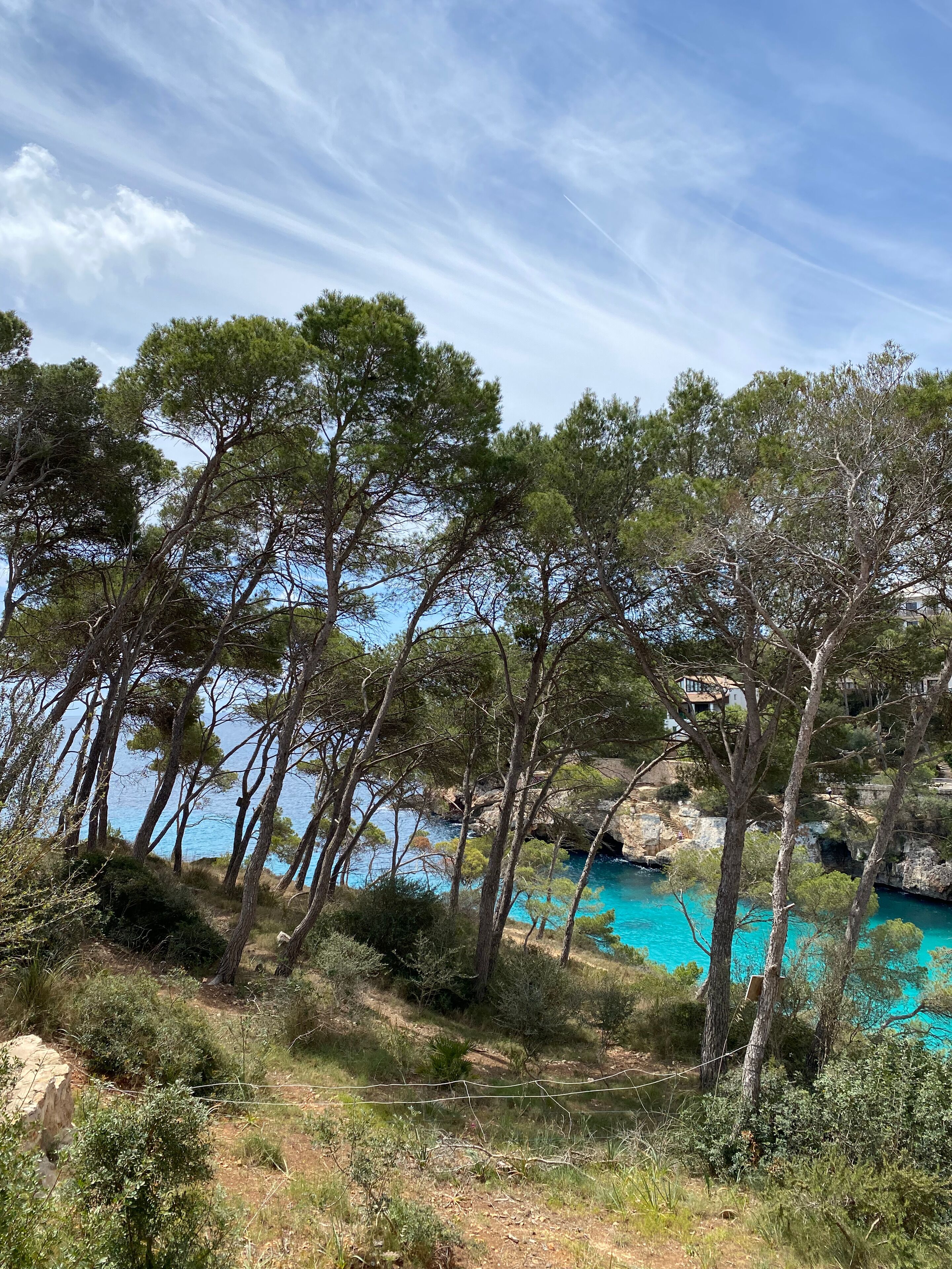 Photo - Hostal Palmaria