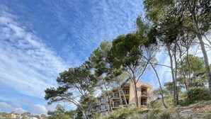Un sendero costero que lleva a un edificio de varios pisos rodeado de árboles y arbustos.