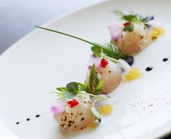 A white plate with two pieces of food garnished with greens, red caviar, and yellow pearls.