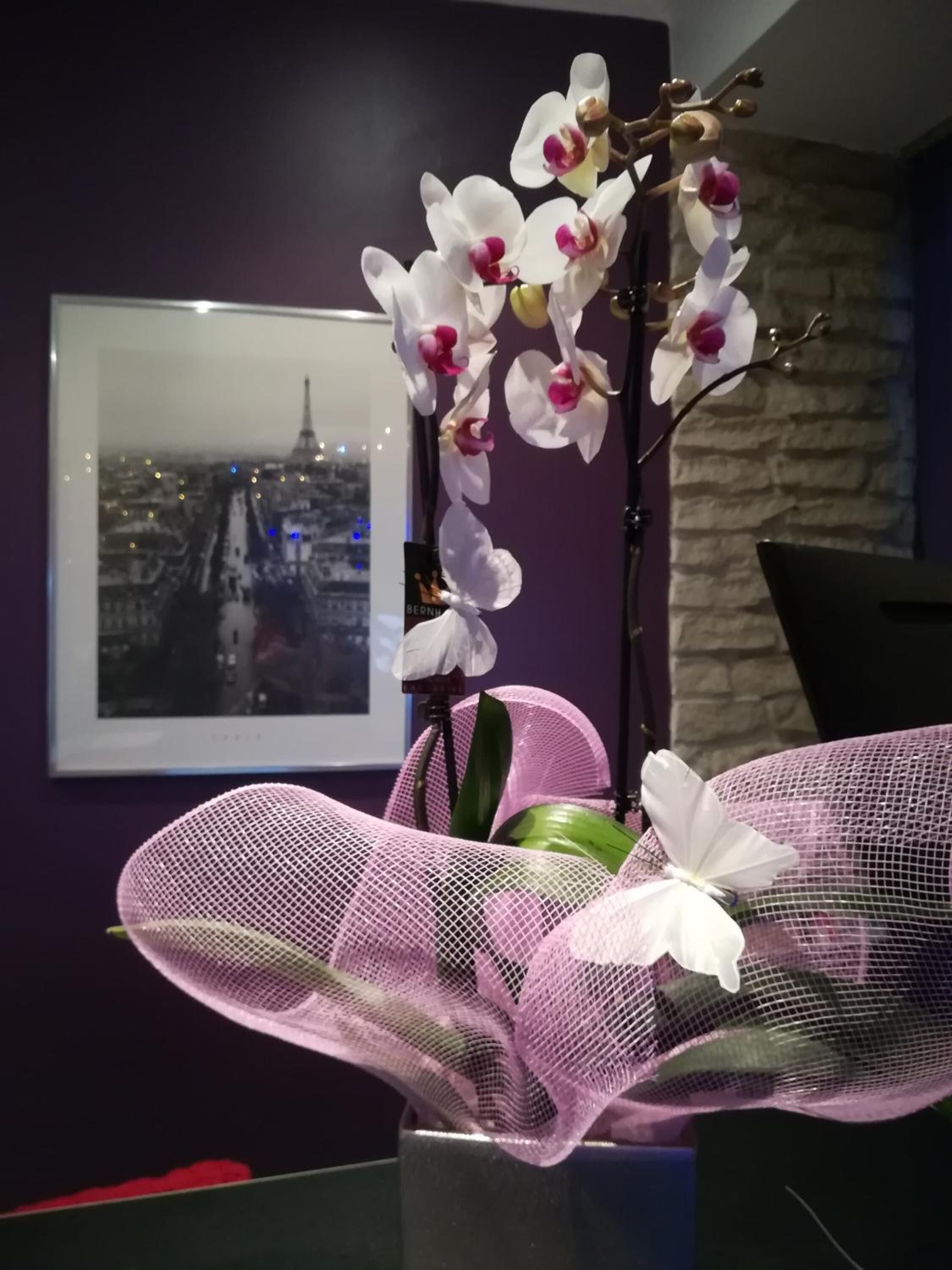 Photo - Hotel du Globe 18