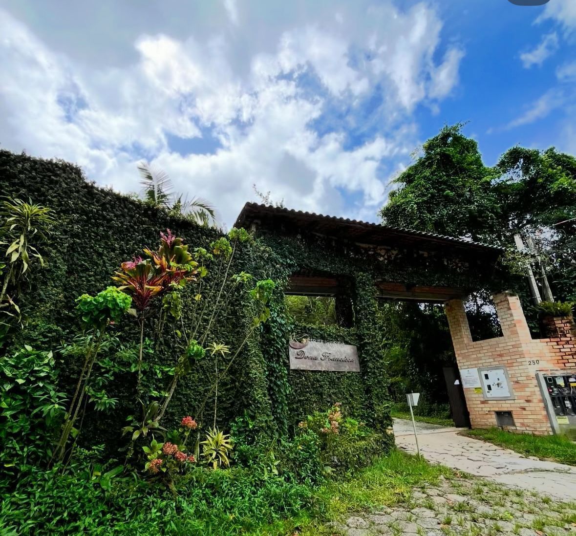 Foto - Pousada Dona Francisca