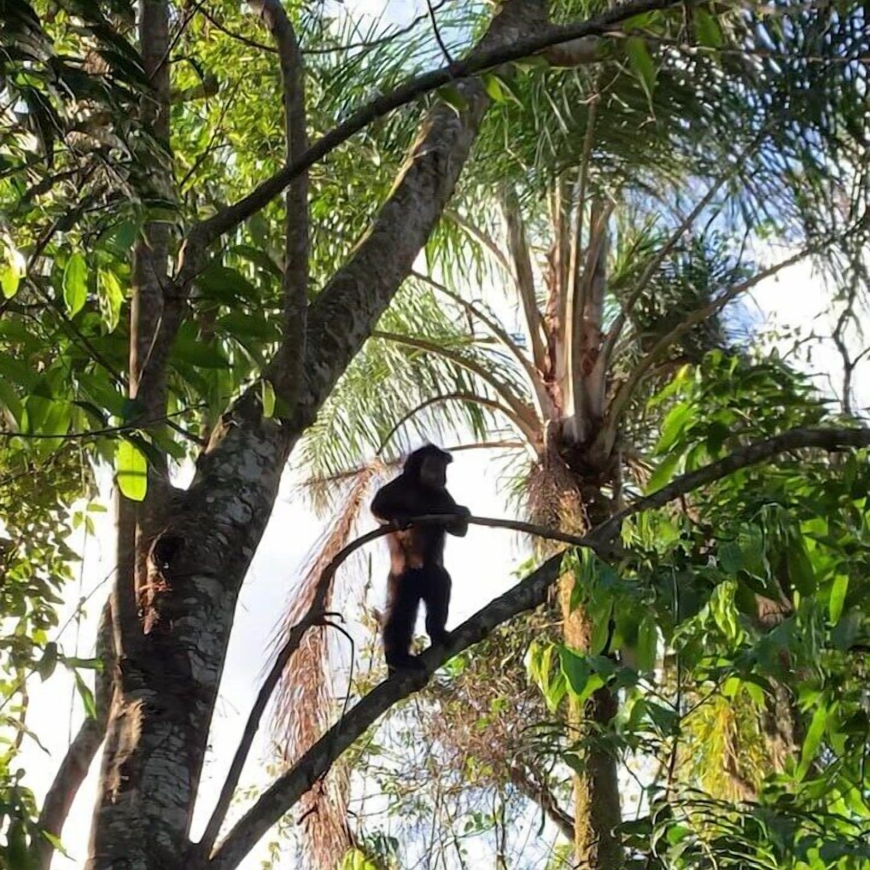 Photo - Pousada Dona Francisca