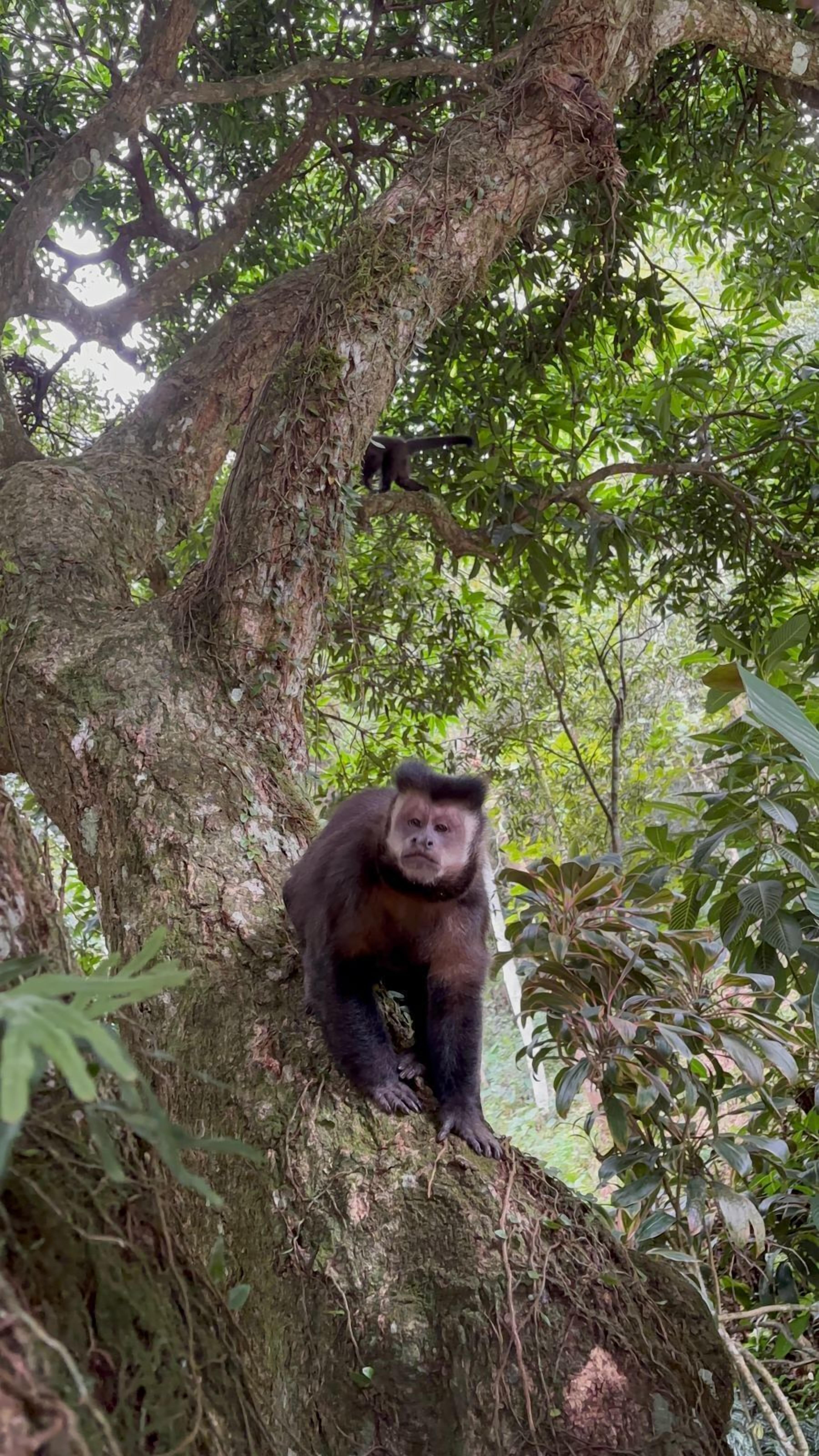 Photo - Pousada Dona Francisca