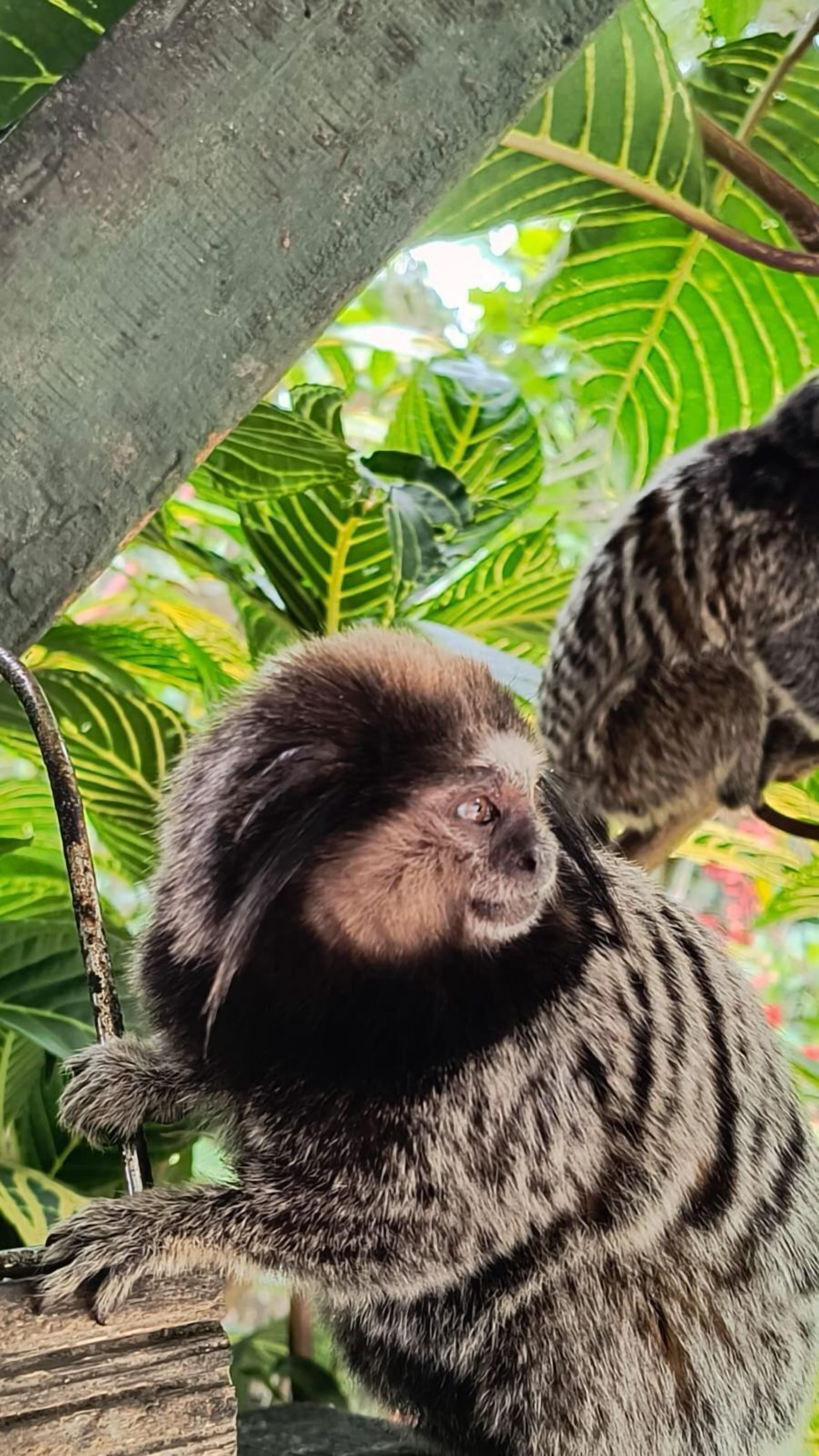 Photo - Pousada Dona Francisca