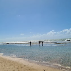 A la platja, platja de sorra blanca i gandules de platja