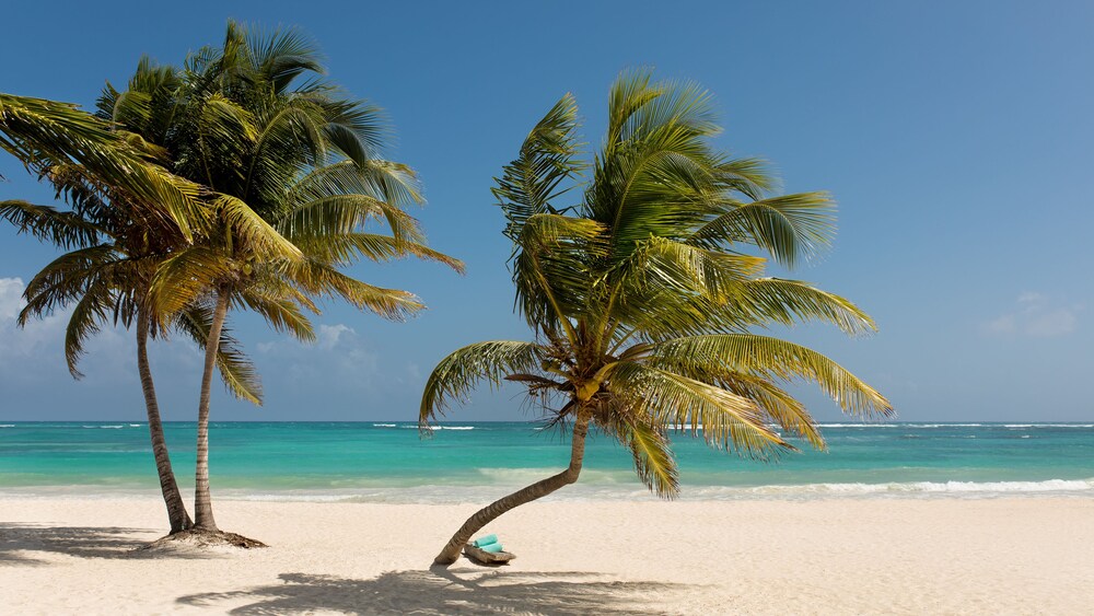 Casa Chablé by null