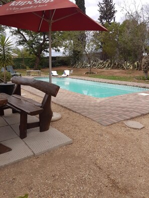 Outdoor pool, sun loungers