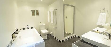 A modern bathroom with a bathtub, toilet, shower, and sink.