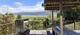 Ibis Place Guest House