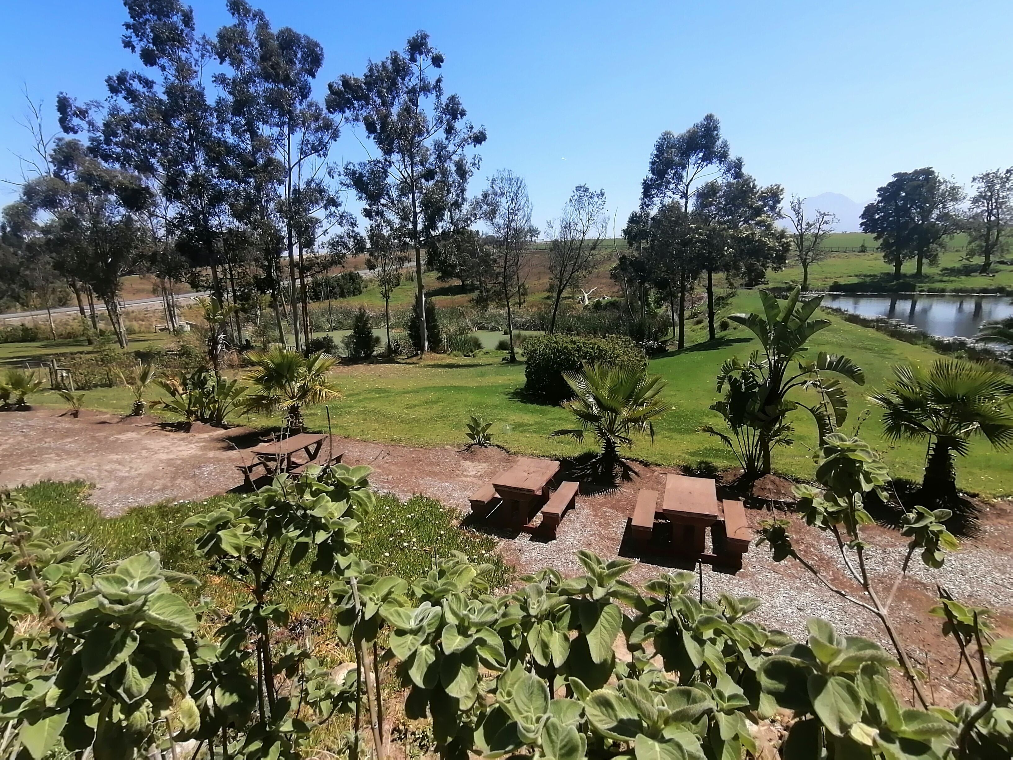 Vista desde la propiedad