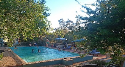 Ibis Place Guest House