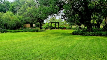 Een verzorgd gazon met een pergola en weelderige begroeiing.