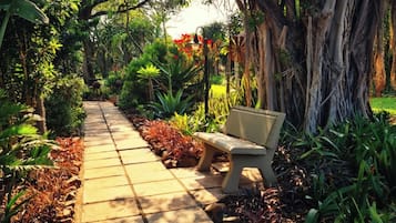 Un sentier bordé d’un banc, entouré d’une végétation luxuriante et d’arbres.