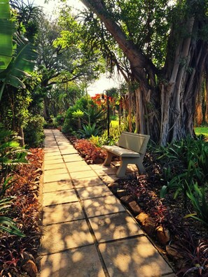 A pathway lined with a bench, surrounded by lush greenery and trees.
