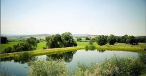 Un paesaggio tranquillo con uno stagno calmo, vegetazione rigogliosa e dolci colline sullo sfondo.