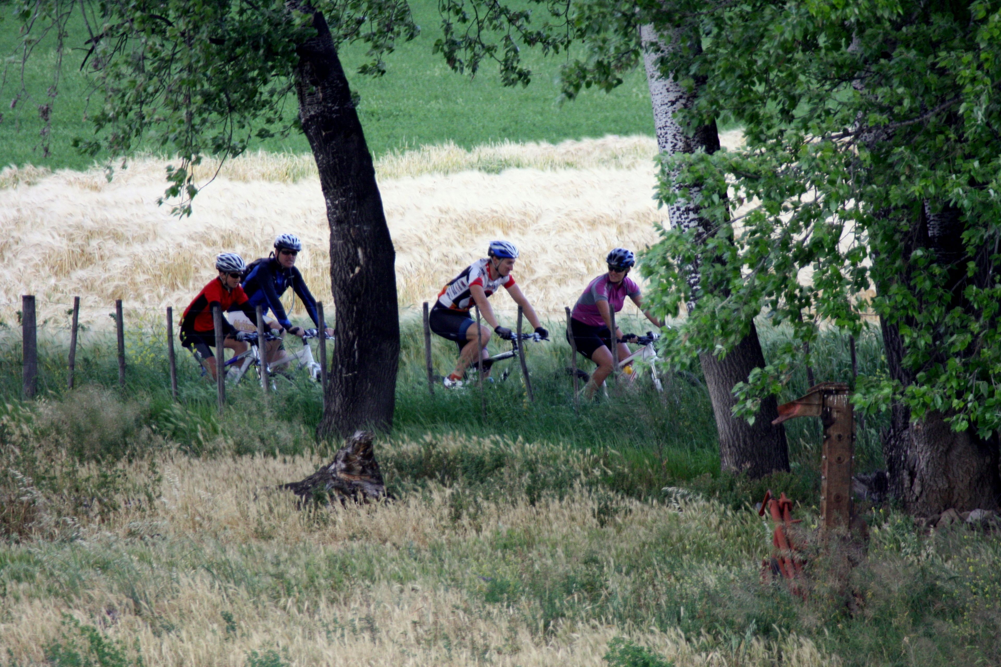 Eine Gruppe Radfahrer in ländlicher Umgebung mit Bäumen und Heuhaufen.