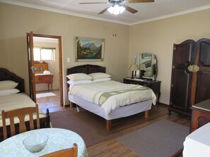 Iron/ironing board, free WiFi, bed sheets - Sandy's Place (Barrydale)