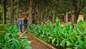 A pathway through a lush garden with a wooden structure in the background. - Inraki Lodge (Guayllabamba)