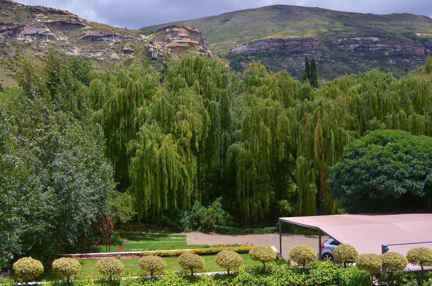 Un jardin aménagé avec des arbres, une zone pavée et un bâtiment doté d’un toit.