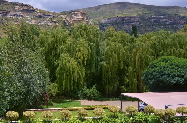 Un jardín ajardinado con árboles, una zona pavimentada y un edificio con techo.