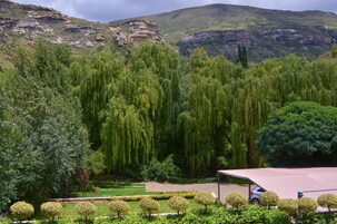 Un jardín ajardinado con árboles, una zona pavimentada y un edificio con techo.