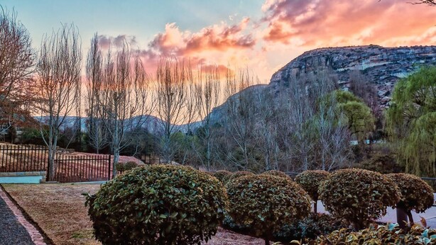 A landscaped garden with neatly trimmed bushes and a metal fence. - Riverwalk B and B (Clarens)
