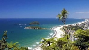 A coastal view with a beach, clear blue sea, and a palm tree. - Rolling Hills Country Stay B&B (Oropi)