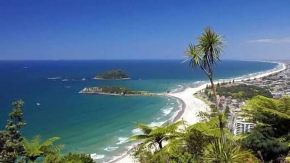 Point of interest - Rolling Hills Country Stay B&B (Oropi)