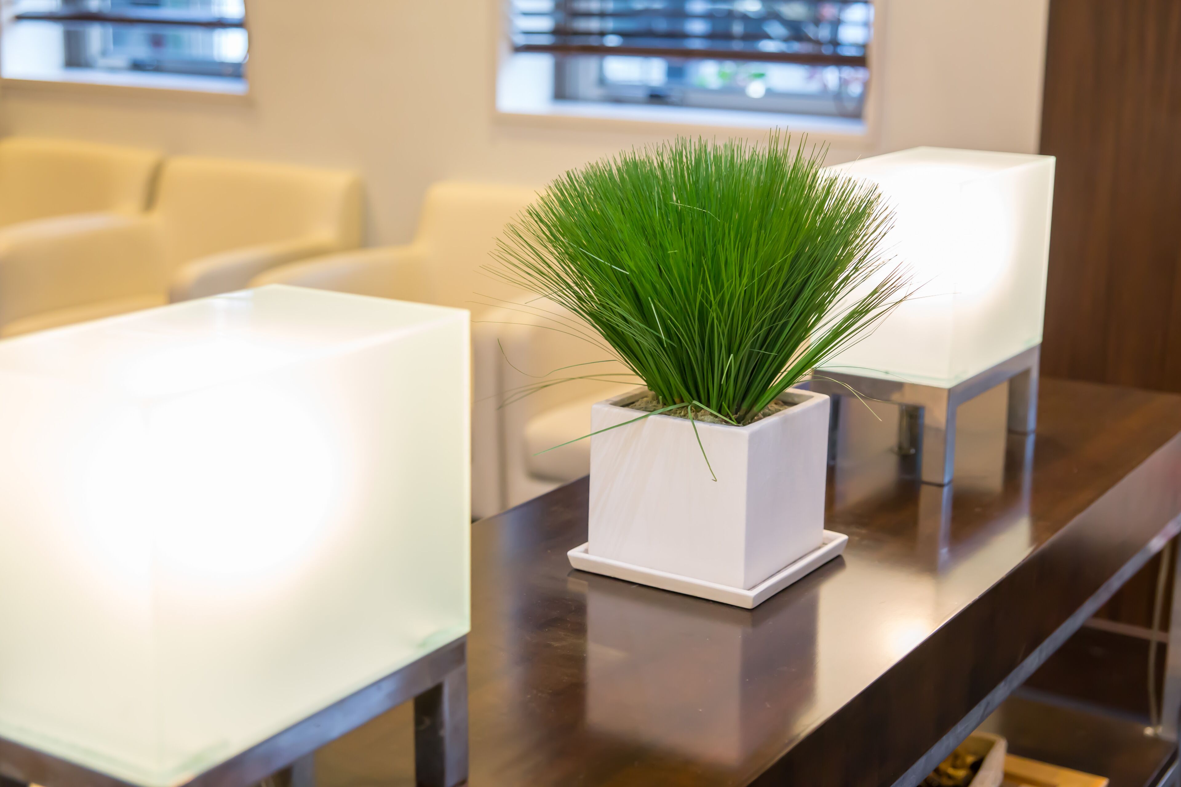 Un moderno vestíbulo de hotel con un mostrador de recepción, una planta en maceta y una zona de estar.