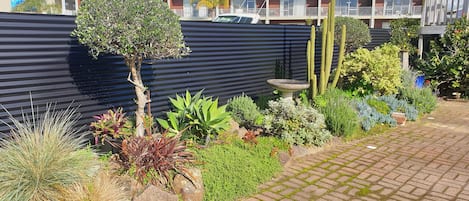 Un jardín con diversas plantas y una fuente para pájaros.