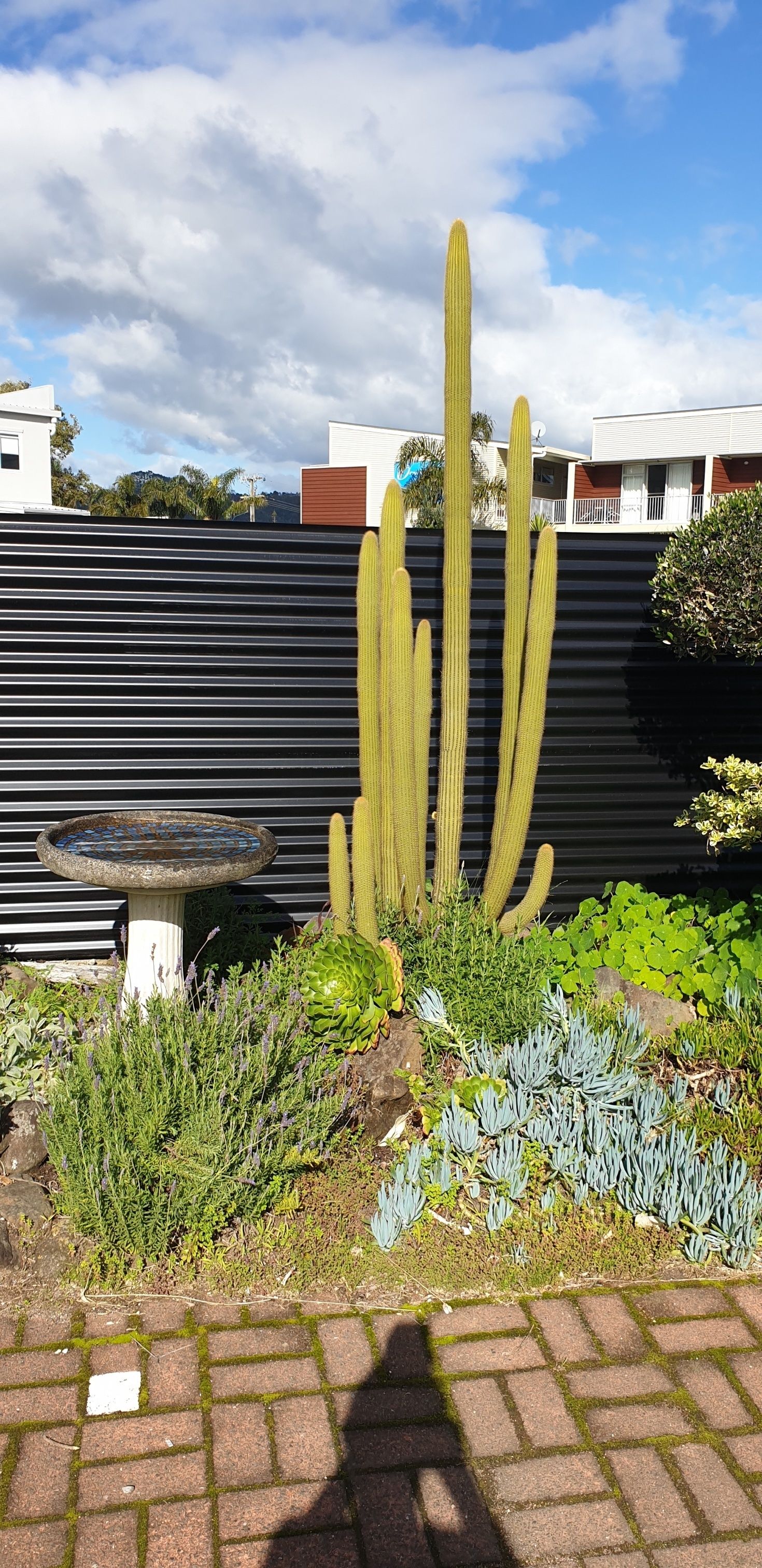 no. 12 - upstairs studio | garden view