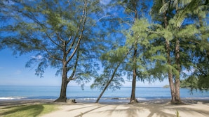 A beach with trees and a clear view of the sea. - The Anda Mani Khaolak Beachfront Villas (Thai Mueang)