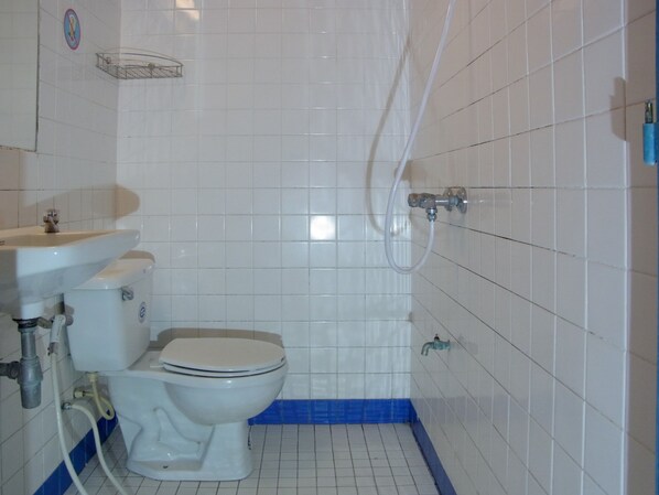 Un baño con inodoro, lavamanos y ducha.