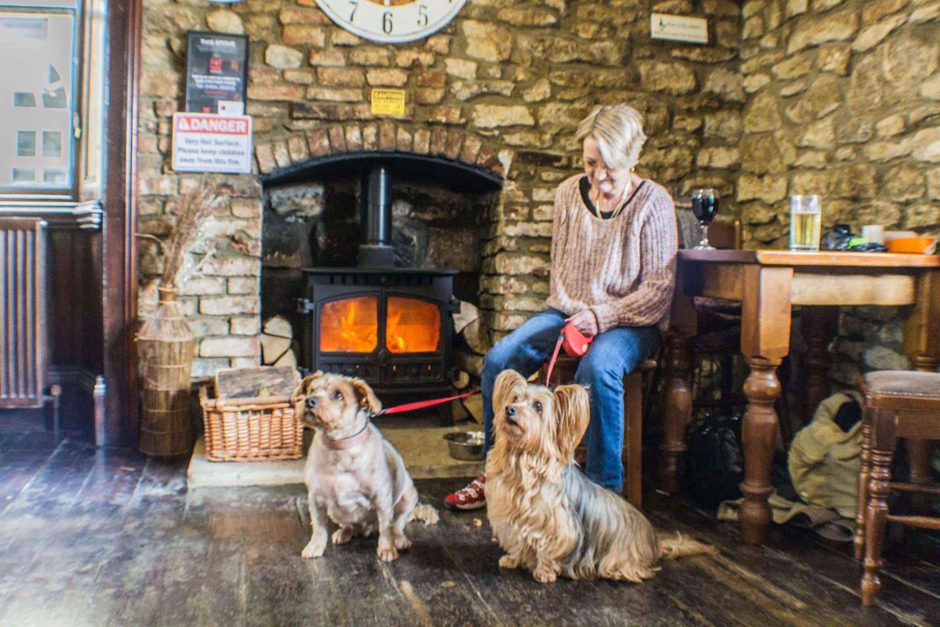 Una persona sentada junto a una chimenea de piedra con dos perros, un reloj en la pared y un cartel advirtiendo sobre superficies calientes.