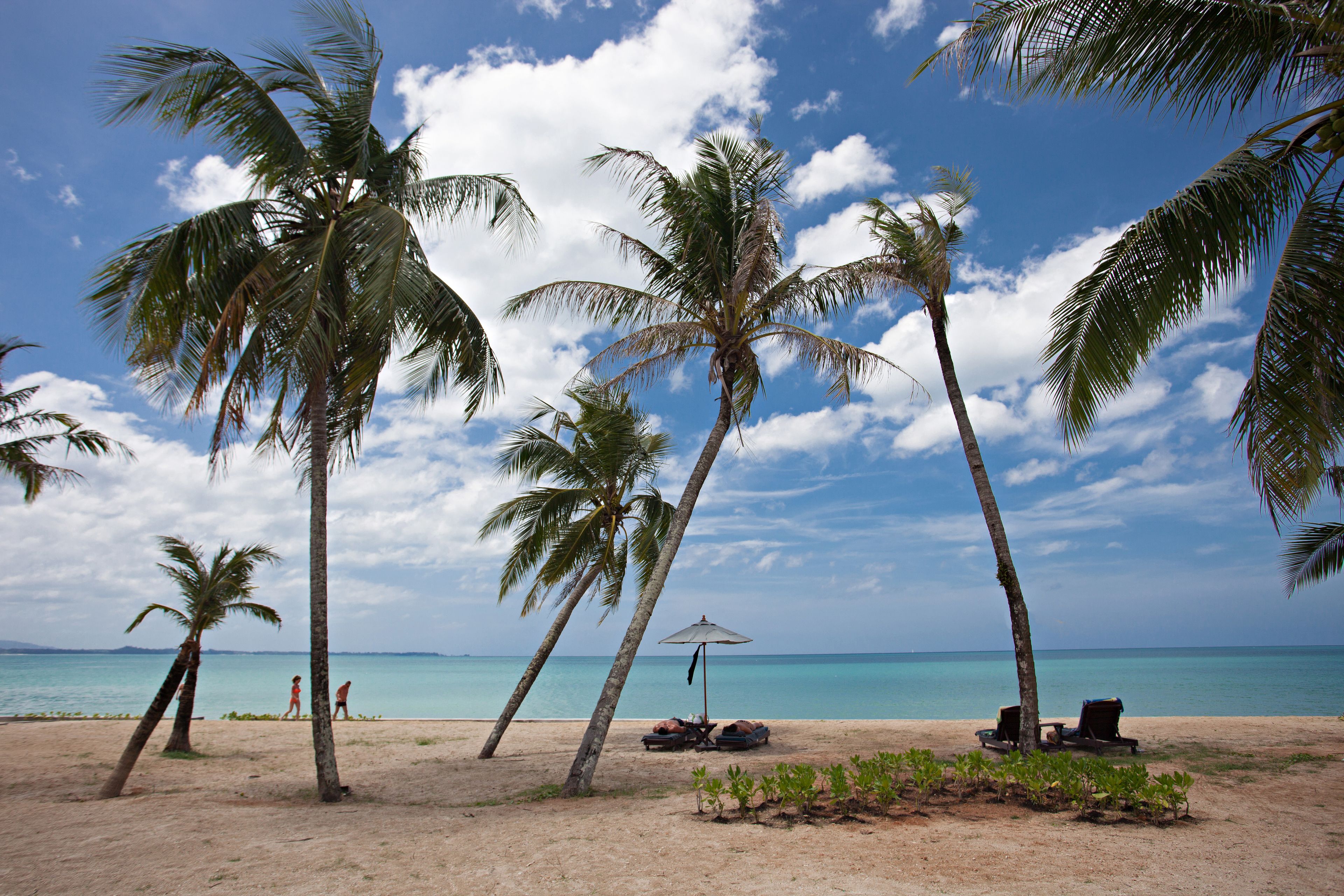 On the beach, sun-loungers, beach umbrellas, beach towels