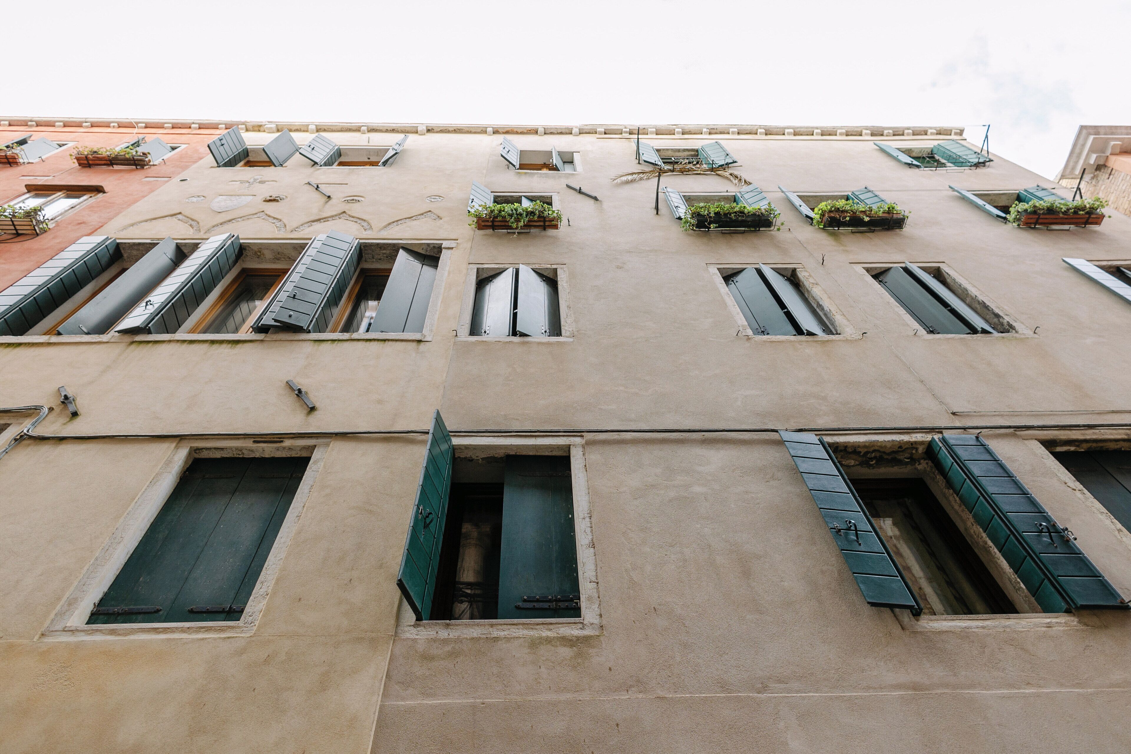 Foto - Polo's Treasures