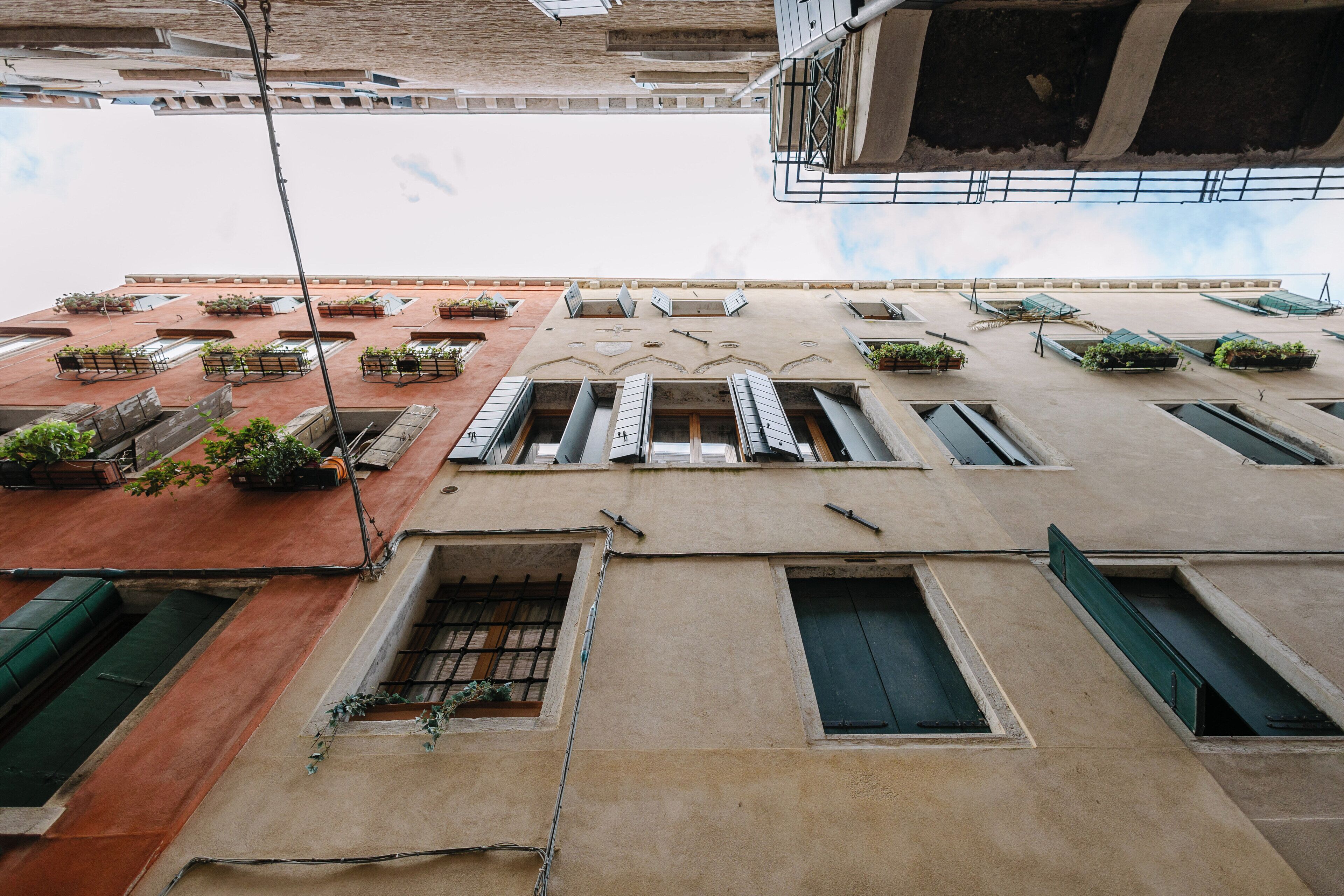 Foto - Polo's Treasures