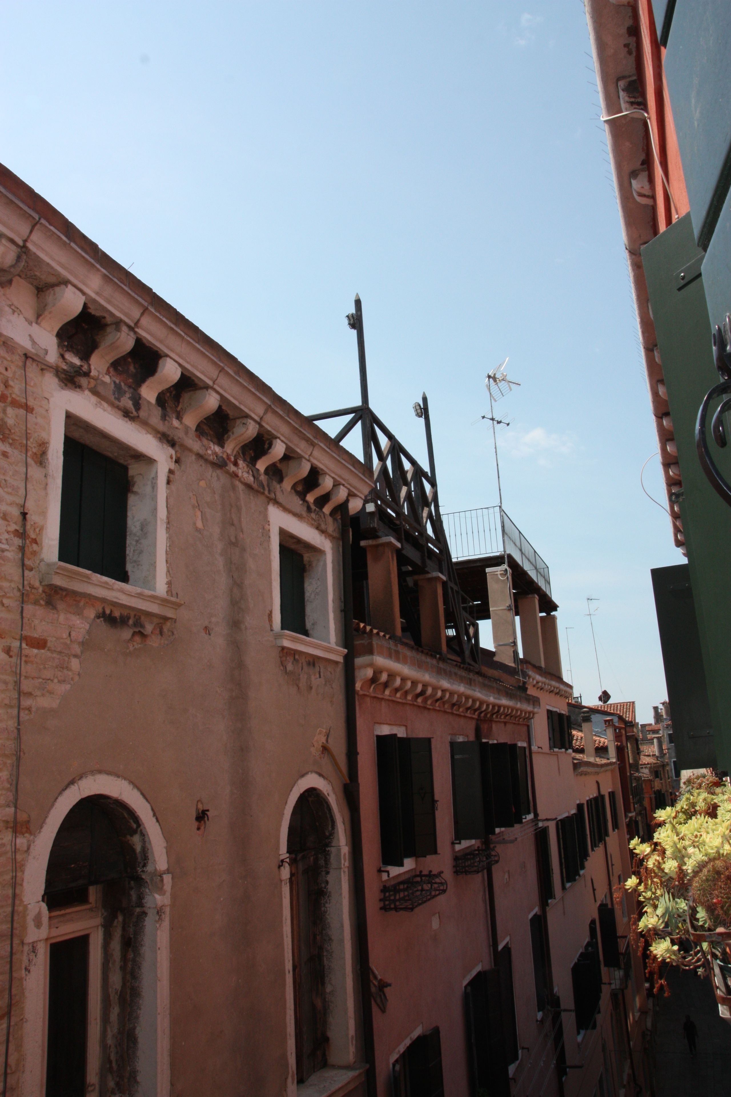 Foto - Polo's Treasures